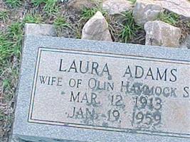 Laura Adams Hammock (2103947.jpg)