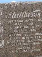 Laura Ann Haven Matthews