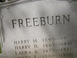 Laura B Freeburn