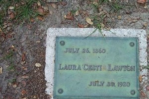 Laura Cestia Lawton