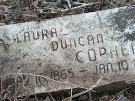 Laura Copher (2383406.jpg)