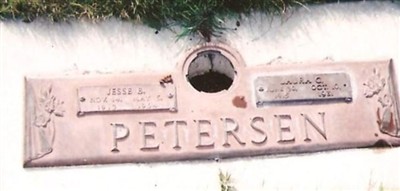 Laura Curtis Petersen