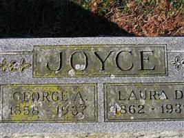 Laura D Joyce (1918669.jpg)