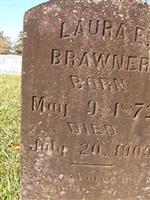 Laura E Brawner