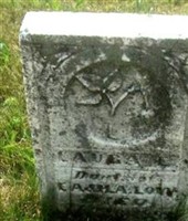 Laura E Low