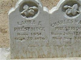 Laura E. Williamson Prestridge