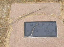 Laura Ellen Cunningham Jester Laura Ellen Cunningham Jester