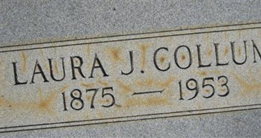 Laura J. Collum