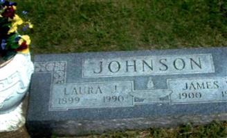 Laura J Johnson