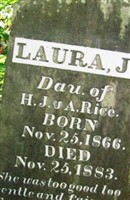 Laura J Rice