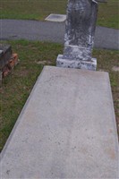 Laura Jane Perry Tripp
