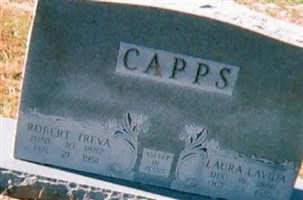 Laura Lavida Capps Laura Lavida Capps