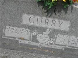 Laura Link Curry