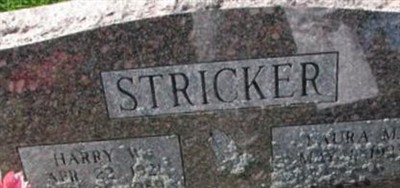 Laura M Stricker