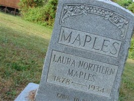 Laura Northern Maples Laura Northern Maples