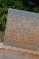 Laura S. Pickrell Cromer