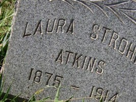 Laura Strohm Atkins