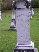 Laura Tice Laura Tice