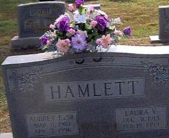 Laura V Hamlett