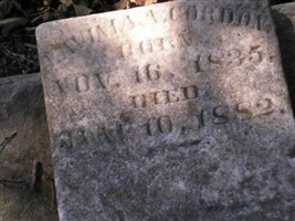Lavenia A. Gordan