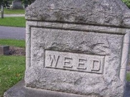 Lavergne B Weed Lavergne B Weed