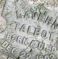 Lavern Talbot