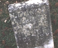 Lavina Jane Holliday Willits