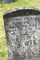 Lavina Pealer Lavina Pealer
