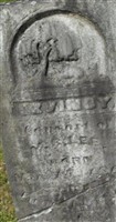 Lavincia 'Levincy' Louisa Albritton Lee