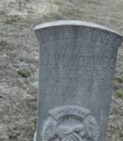 Lavinia Busby Mozingo
