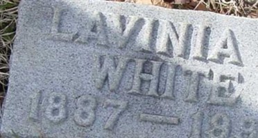 Lavinia D White Lavinia D White