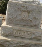 Lavinia D White Lavinia D White
