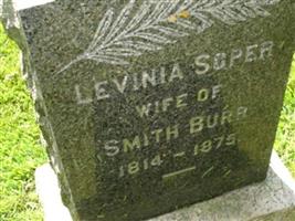 Lavinia Soper Burr