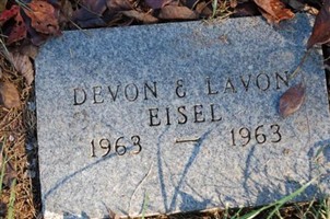 Lavon Eisel
