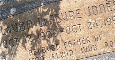 Lavon Lefevre Jones Lavon Lefevre Jones