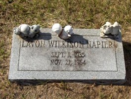 Lavon Wilkison Napier Lavon Wilkison Napier