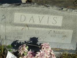 Leah Mitchell Davis