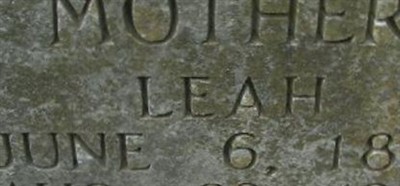 Leah Taylor Leah Taylor