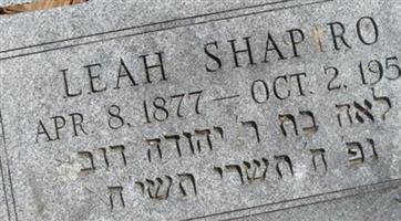 Leah Weintraub Shapiro