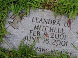 Leandra D Mitchell