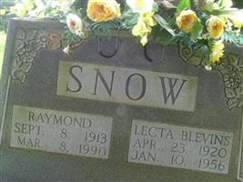 Lecta Blevins Snow