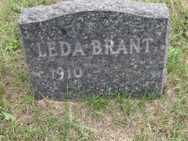 Leda Brant Leda Brant