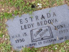 Ledy Bedoya Estrada