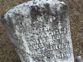Lela P Snider