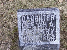 Lelah A. O'Leary Lelah A. O'Leary