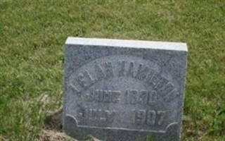 Lelah Hamilton Lelah Hamilton