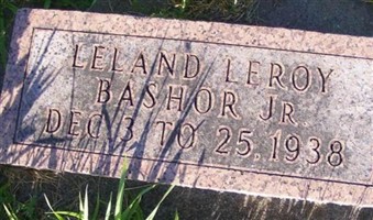 Leland Leroy Bashor, Jr Leland Leroy Bashor, Jr