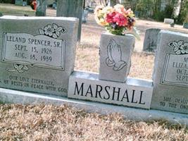 Leland Spencer Marshall, Sr