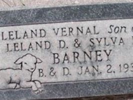 Leland Vernal Barney (2052961.jpg) Leland Vernal Barney (2052961.jpg)