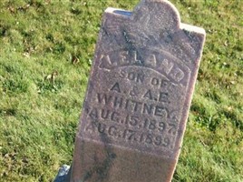Leland Whitney